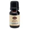 Fabulous Frannie Camphor 100% Pure, Undiluted Essential Oil Therapeutic Grade - 10 ml. Great for Aromatherapy!