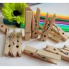Froomer Snner Mini Wooden Clothes Pegs Wood Colour 1 Pack