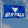 Buffalo Bulls New Logo Flag