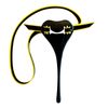 FINIS Posture Trainer - Swim Training Equipment to Improve Speed and Alignment
