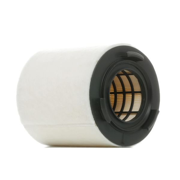 RIDEX 8A0167 Engine Air Filter, Air Filter Insert, Car Filter, Car Filter