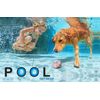 Pool Refresh - Weekly Water Freshener & Moisturizer (20 Oz)