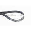 Continental 5PK705ELAST Metric Multi V Stretch Belt