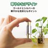 MOMOIRO SAMURAI RCA Female Relay Adapter rca Extension Adapter 10pcs