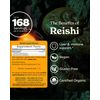 Reishi Mushroom Liquid Extract Drops Immune System Builder, 4 Oz