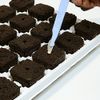 Growth Technology Root Riot Tray (24)