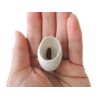 Petz Route Eyebrow Toothpaste