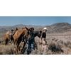 Desert Hearts (The Criterion Collection) [Blu-ray]