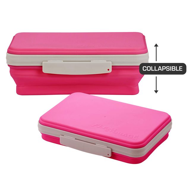 Assorted Organizer Plastic Craft Case