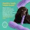 Yomp ToothBuddy MAX Dog Toy – Fetch-Ready & Dishwasher Safe