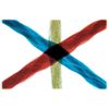Colored Threads Prepared Microscope Slide, Whole Mount