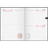rido/idé Taschenkalender Mod. Technik III 2025 „Icecoffee“ | A6, Textil