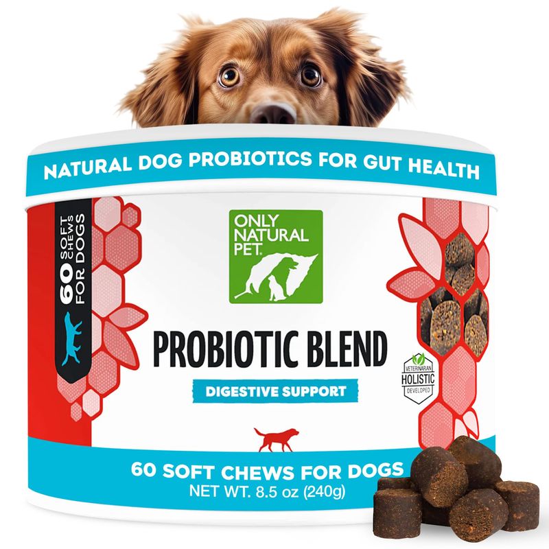 Only Natural Pet Probiotic Dog and Cat Supplement - Digestive & Gut ... - Buy Canine Digestive Enzyme Supplement Online