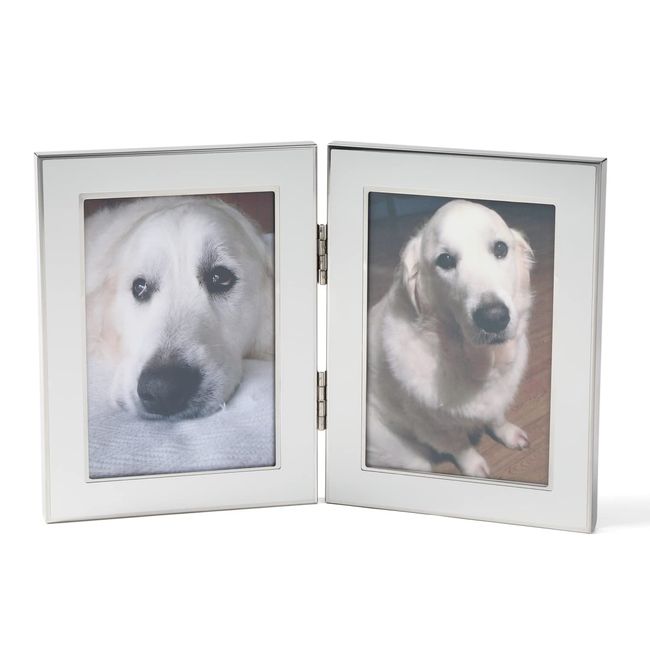 Airrail Photo Frame with 2 Sides, Large, Silver, Steel, Glass, Fine Design, Stylish (2 Sides Large, Wide Edge)