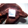 TY Beanie Baby - Zeus the Moose