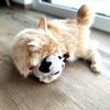 Aumüller Katzenspielzeug mit Baldrian - Kuh Ella