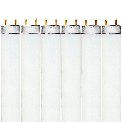 Luxrite F32T8/841 32W 48 Inch T8 Fluorescent Tube Light Bulb, 4100K Cool White, 2800 Lumens, G13 Medium Bi-Pin Base, LR20732, 6 count (Pack of 1)
