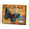 Mini Butterfly Childrens Kite Assorted Colour