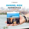 D'Addario EJ Acoustic Guitar Strings, 80/20 Bronze, Authentic Japanese Product
