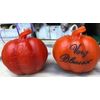 Pumpkin (Very Blessed) Beeswax Candle