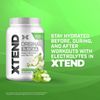 Scivation Xtend Original BCAA, Smash Apple, 90 Servings, 1260 gm