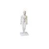 Acupuncture Model Female Height Approx. 50 cm