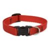 LupinePet Basics 1/2" Purple 6-9" Adjustable Collar for Extra Small Dogs