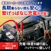 TECMATE Fully Automatic Motorcycle Battery Charger, model: TM-447