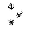 Pirate Make-Up Stencil