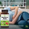 Barberry Root - Healthy Digestion & Immune, Cleanse & Detox, Inflammatory