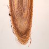 Onion Root Tip Slide, L.S., 10 �M