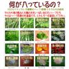 Breeze, Grass Hot Pads Small