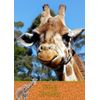 Giraffe Birthday Card
