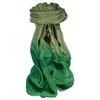 Pashmina & Silk Tabby Weave Pure Silk Scarf Emerald