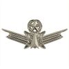 Air Force Badge: Space Master - miniature