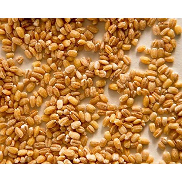 Zursun Heirloom Beans, Pearl Barley 1.5lb Bag