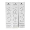 Igora Royal Absolutes SilverWhite Lilácea Gray 60ml
