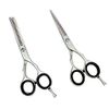 Professional Hairdressing Scissors, Thinning Scissors set 5.5 "