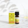 Tisserand Aromatherapy Lemon Tea-Tree Organic Essential Oil 9 ml