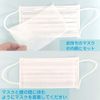 Mask Sheet, Replacement Sheet, Made in Japan, Non-woven Fabric Filter, 100 Sheets