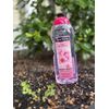 CHERRY BLOSSOM Extra Moisturizing And Deep Cleaning Body Wash (2 Count)