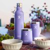 Hydro Flask Ceramic Wine Bottle 25 Oz Birch