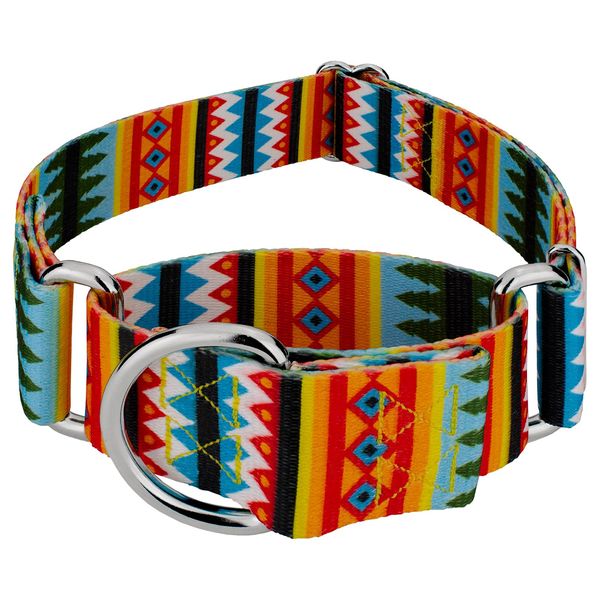 Country Brook Petz - Summer Pines Martingale Dog Collar - Country and Western Collection with 8 Rustic Designs (1 1/2 Inch, Extra Large)