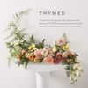 Thymes Reed Diffuser Oil - 7.75 Fl Oz - Goldleaf Gardenia