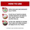 Tomcat Super Hold Glue Traps Rat Size, Ready-To-Use, 2 Traps