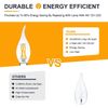 12V Low Voltage E12 LED Light Bulbs Soft Warm 2700K 4W Only for 12 Volt DC New