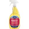 BioGuard Kleen It Filter Cleaner 32 oz