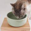 Health Water Bowl, M