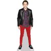 Noah Schnapp Mini Size Cutout