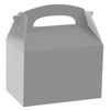 Child (75 Pc) Silver Party Boxes